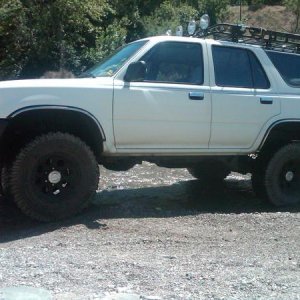 Out in San Bernardino Forest