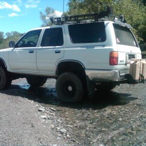 Out in San Bernardino Forest