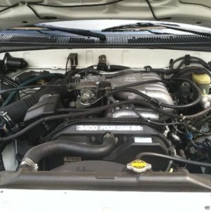 Better photo of engine bay.