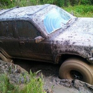 last time i went to the woods