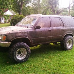 the day i got her