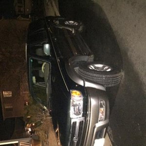 First night I brought her home