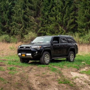 stokes state forest