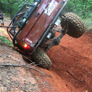 Little Whoops at Barnwell