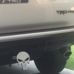 THE PUNISHER
