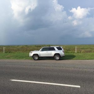 4runner Paynes Prairie