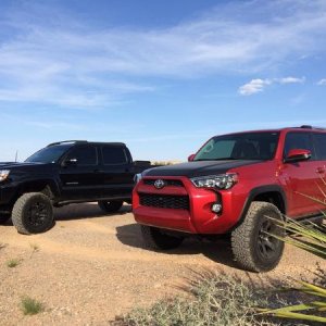 Me and my neighbors Taco