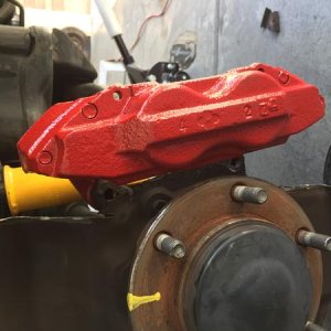 IMG 0439