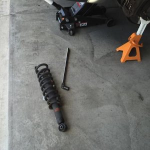 IMG 0368
