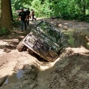 Buddy got a little stuck