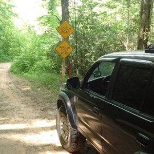 Tray Mtn. Trail, Georgia