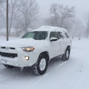 Bliz of 2016 1