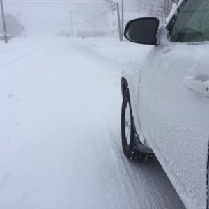 Bliz of 2016 2