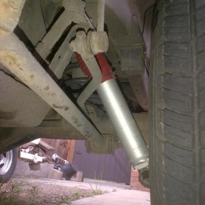 rear shocks