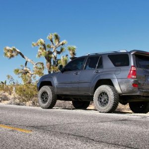 Joshua Tree