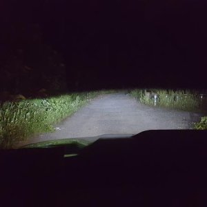 Xenon Depot LED Lows