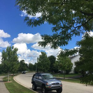 King of the suburban jungle (for now).