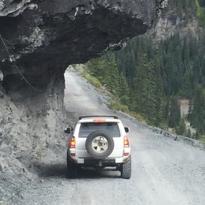 CO