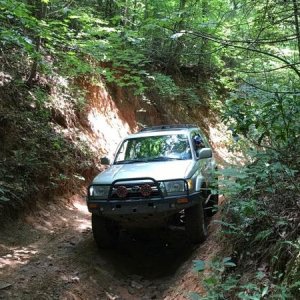 Thought the trail would stay like this, that changed fast