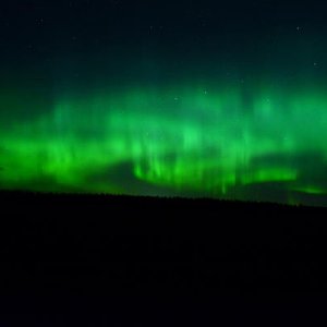 Northern Lights near Calgary AB