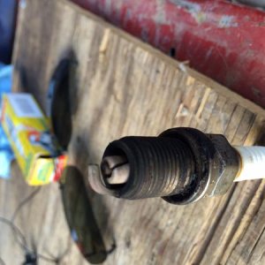 sparkplug