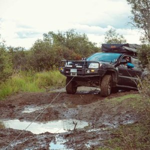 Stampede Trail