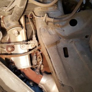 Old manifold and Cat