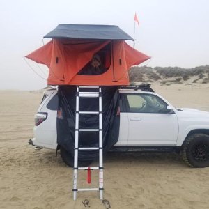 Pismo 2016