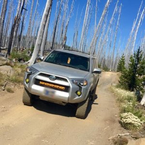 Taylor lake trail, waldo lake OR area