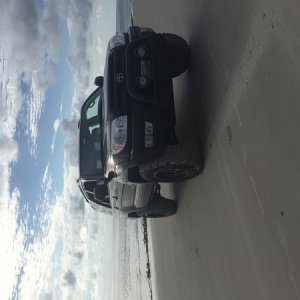 IMG 0951