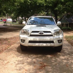 Bone stock
