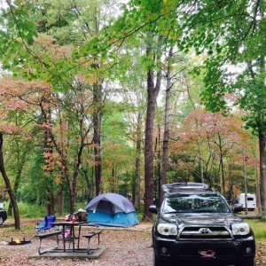 Cade's Cove Campground, GSMNP B-27 10-16-2016