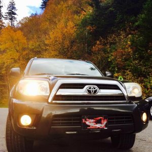 Newfound Gap Rd, Great Smoky Mountain N. P. 10-16-2016