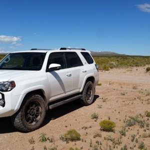Getting happily dusty in New Mexico backcountry.