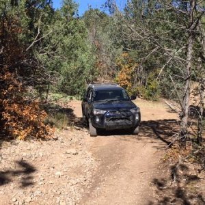 Slimline installed had to hit a trail.