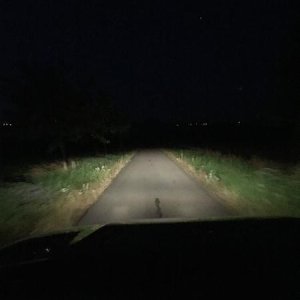 Low Beam
