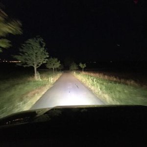 High Beam w/ LED
