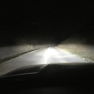 IMG 3436