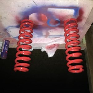 of course had to paint the front coils red