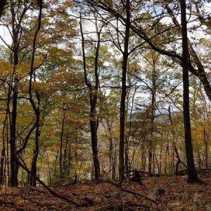 20161030 Sunday trail view