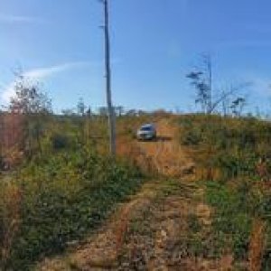 Went exploring in an abandoned subdivision development and found this pond