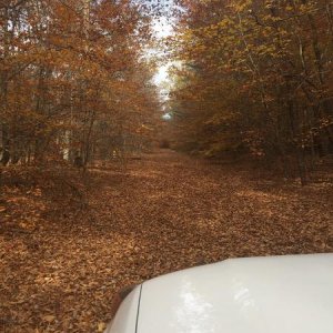 fall trail