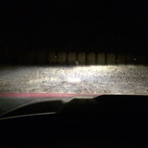IS350 BiXenon Low beam only