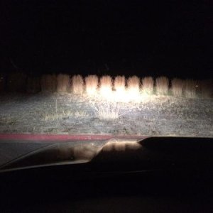 IS350 BiXenon Low and High beam