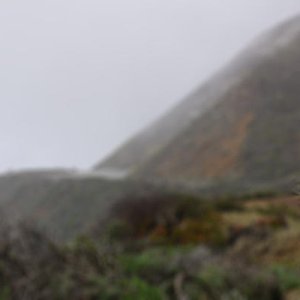 DSC0688950