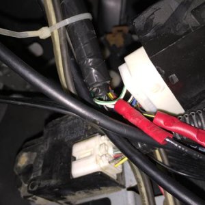 Write up:  http://www.yotatech.com/f127/2002-4r...ability-87596/

For 2001-2002 3rd gens, the black cable with the yellow stripe is the DRL remote sig