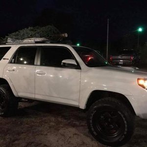 Christmas tree hunting