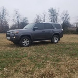 Stock