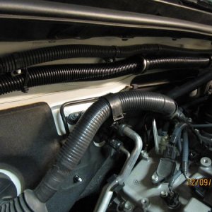 New loom support