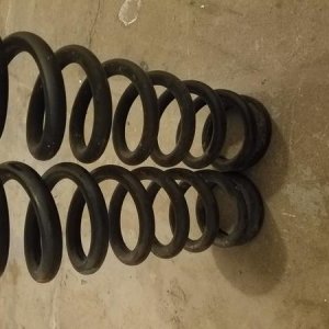 Front Springs